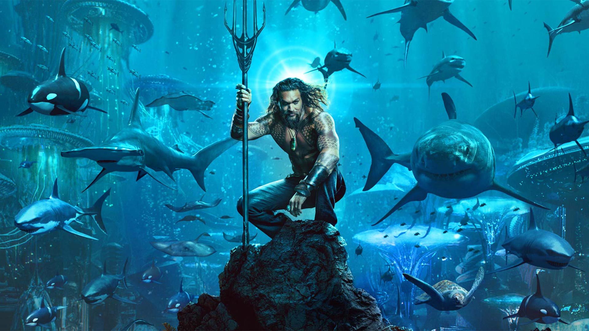 https://parkway.mdfilmfest.com/wp-content/uploads/Aquaman_Still_WEB_02.jpg